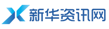 新华资讯网