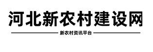 河北新农村建设网
