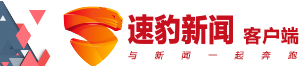 速豹新闻网