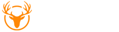 鹿财经