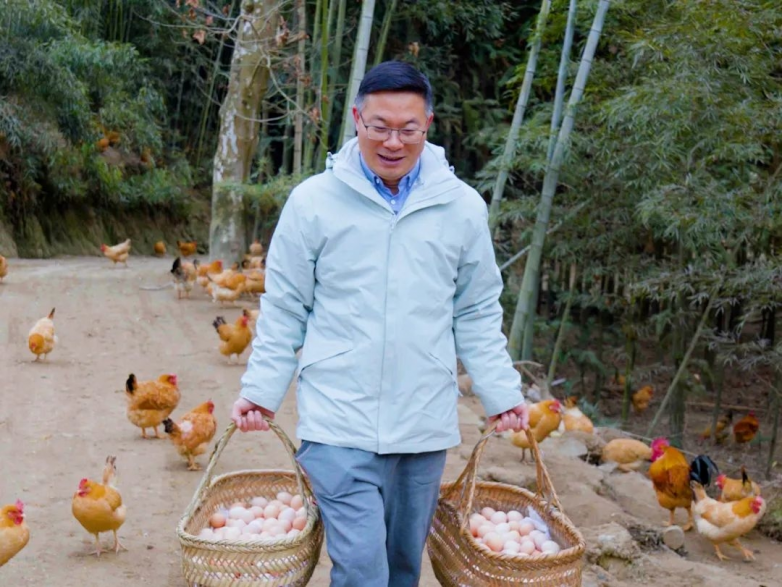 重拾记忆中的味道，杨博士土鸡让健康原始的农家美味重回餐桌