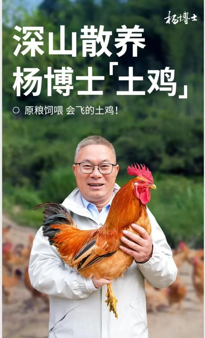 以自然之道，守舌尖本真！杨博士土鸡守护童年的那一口“鲜”