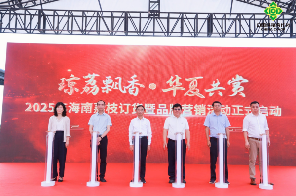 2025年海南荔枝订货暨品牌营销活动圆满落幕：打造“中华热带珍果”新名片