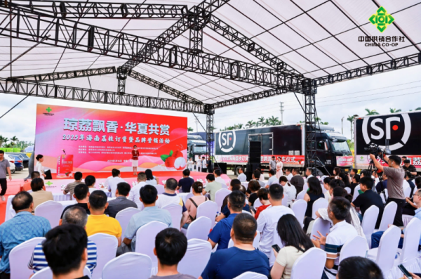 2025年海南荔枝订货暨品牌营销活动圆满落幕：打造“中华热带珍果”新名片