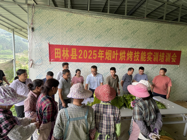 广西田林烟草：党员服务零距离 便民举措暖人心