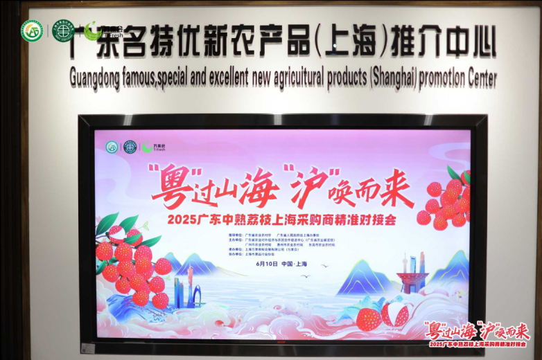 广东中熟荔枝抵沪，近40家主流采购商寻味而来