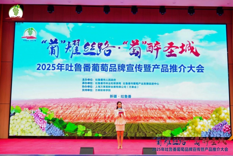 2025年吐鲁番葡萄品牌宣传暨产品推介大会召开_https://www.izongheng.net_快讯_第3张