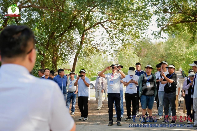 2025年吐鲁番葡萄品牌宣传暨产品推介大会召开_https://www.izongheng.net_快讯_第15张