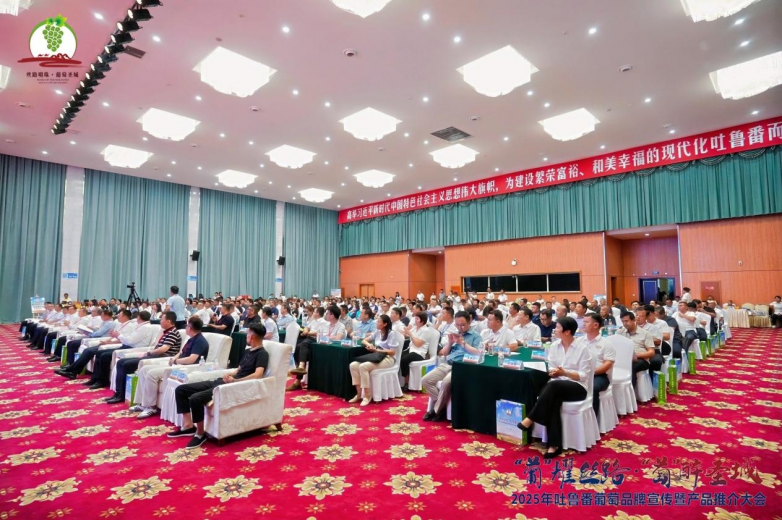 2025年吐鲁番葡萄品牌宣传暨产品推介大会召开_https://www.izongheng.net_快讯_第2张