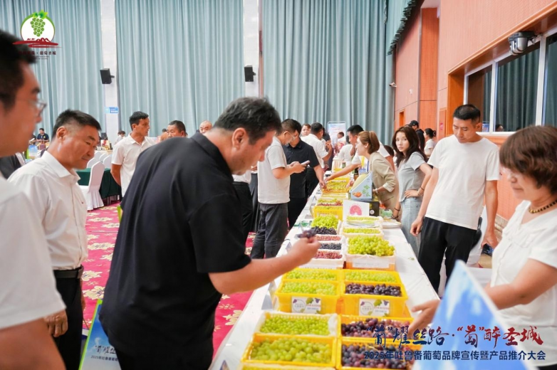 2025年吐鲁番葡萄品牌宣传暨产品推介大会召开_https://www.izongheng.net_快讯_第13张