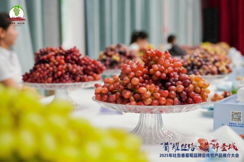 2025年吐鲁番葡萄品牌宣传暨产品推介大会召开_https://www.izongheng.net_快讯_第12张