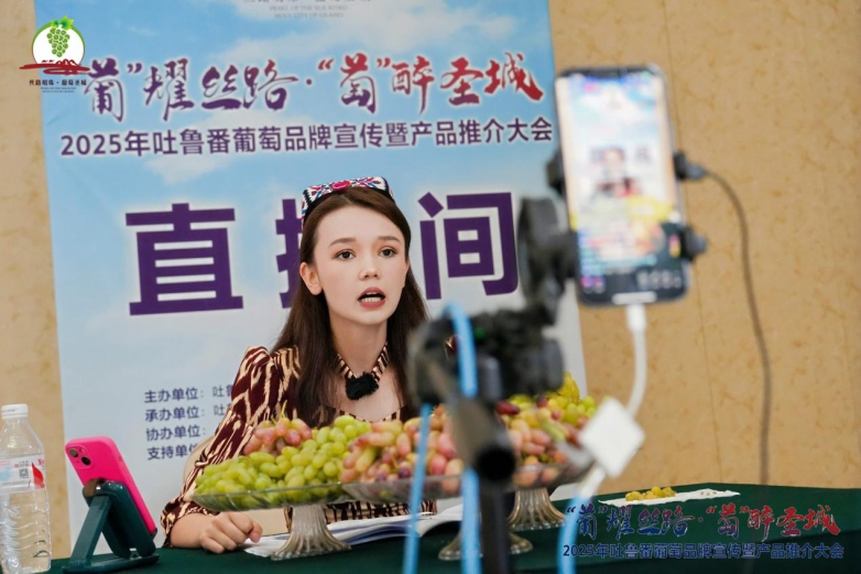2025年吐鲁番葡萄品牌宣传暨产品推介大会召开_https://www.izongheng.net_快讯_第11张