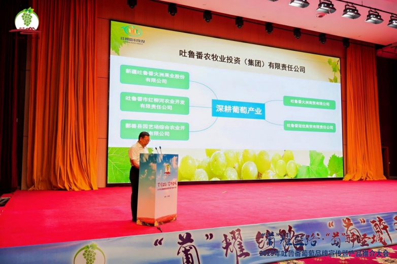 2025年吐鲁番葡萄品牌宣传暨产品推介大会召开_https://www.izongheng.net_快讯_第9张