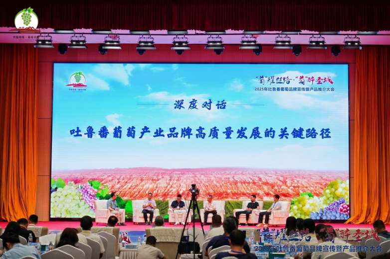 2025年吐鲁番葡萄品牌宣传暨产品推介大会召开_https://www.izongheng.net_快讯_第7张