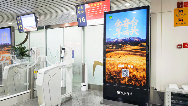 奇台面粉热销密码：电商赋能与闽疆协作的双向奔赴