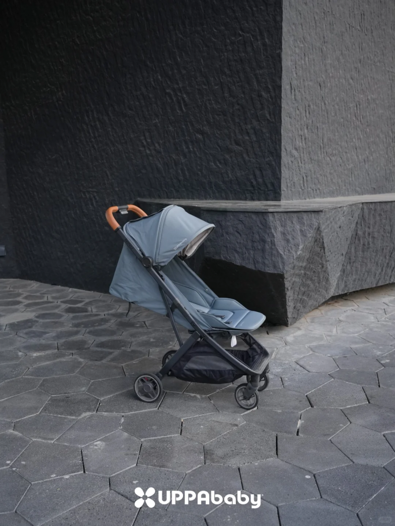 2025 高景观婴儿车推荐：UPPAbaby CRUZ V2 全周期评测（附婴儿车品牌选购指南）