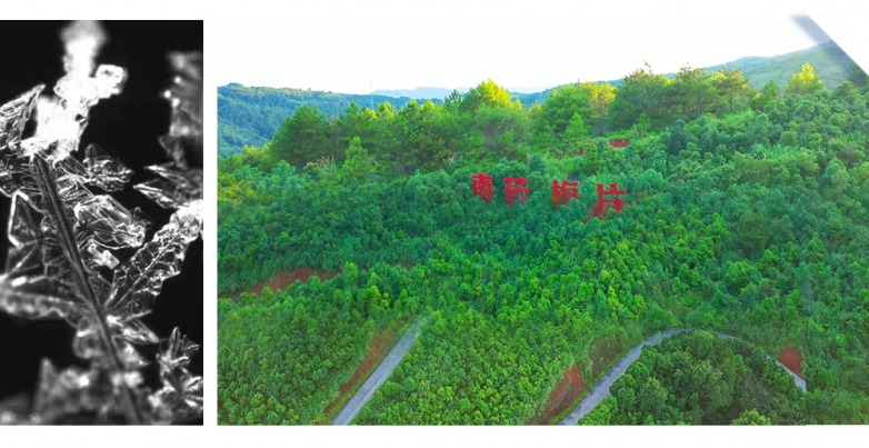 国货品牌美人媄,十二年科研沉淀再获行业权威认可_快讯_第4张_纵横网 国货品牌美人媄,十二年科研沉淀再获行业权威认可_https://www.izongheng.net_快讯_第4张