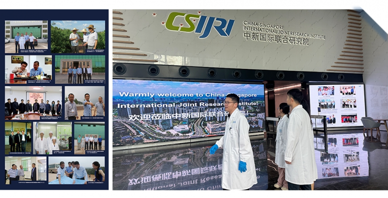 国货品牌美人媄,十二年科研沉淀再获行业权威认可_快讯_第3张_纵横网 国货品牌美人媄,十二年科研沉淀再获行业权威认可_https://www.izongheng.net_快讯_第3张