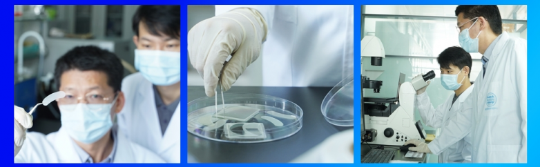 美人媄——研发实力筑基,产品质量安全护航 美人媄——研发实力筑基,产品质量安全护航