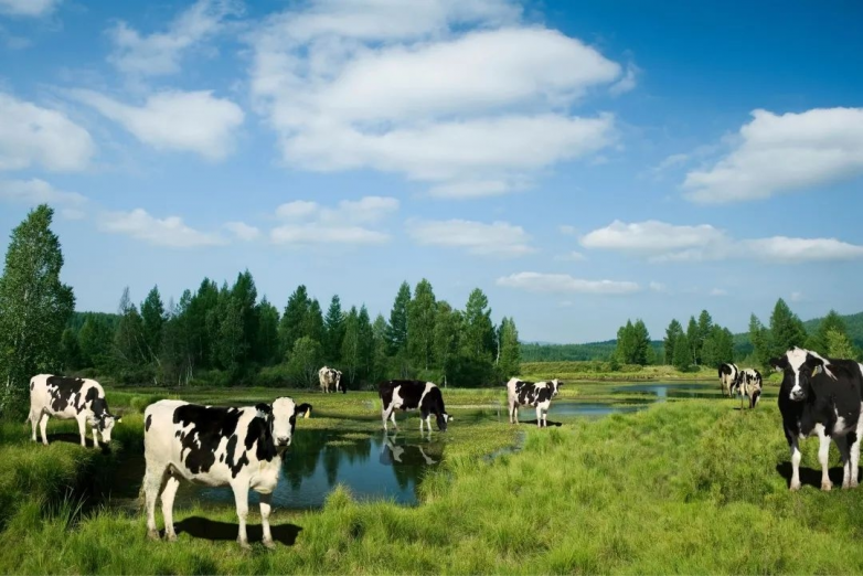 聚焦宝宝自护力提升需求，金领冠塞纳牧有机奶粉凭高量乳铁蛋白受青睐