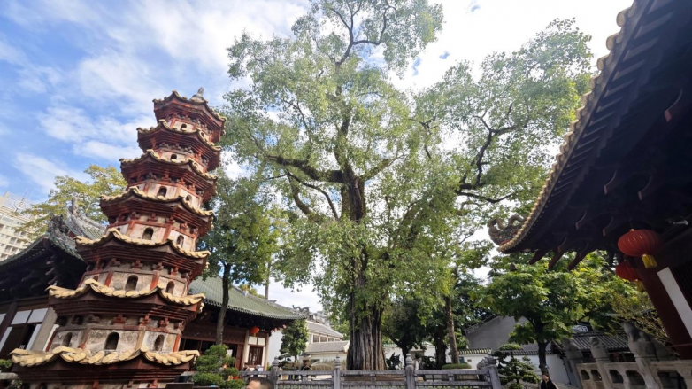 人体工程学团队考察广州光孝寺 开启传统建筑与现代科学对话新篇章_https://www.izongheng.net_快讯_第3张