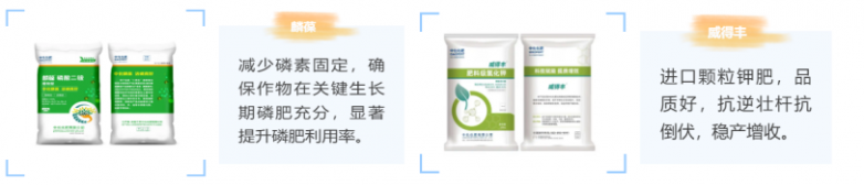 玉米增产遇瓶颈？中化化肥玉米全程营养方案，助力东北农户丰收高产_https://www.izongheng.net_快讯_第6张