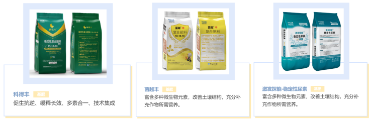 玉米增产遇瓶颈？中化化肥玉米全程营养方案，助力东北农户丰收高产_https://www.izongheng.net_快讯_第4张