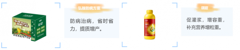 玉米增产遇瓶颈？中化化肥玉米全程营养方案，助力东北农户丰收高产_https://www.izongheng.net_快讯_第10张