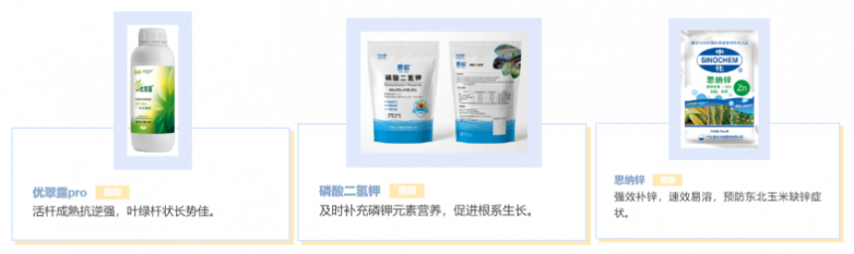 玉米增产遇瓶颈？中化化肥玉米全程营养方案，助力东北农户丰收高产_https://www.izongheng.net_快讯_第8张