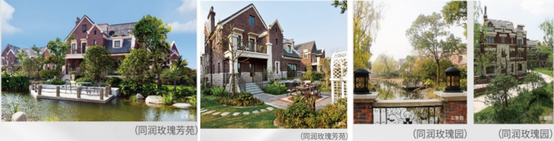 张江脉搏，都会新声