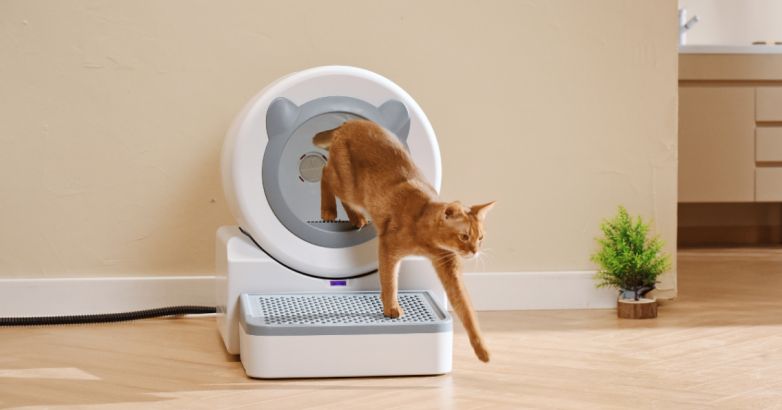 宠洁仕冲水式智能猫马桶：新房装修，为爱宠规划一劳永逸的如厕区