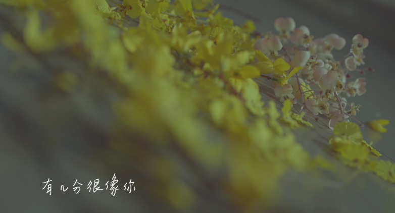 珠海圆梦！66 岁文章以热爱赴一场跨越时光的舞台之约(图3)