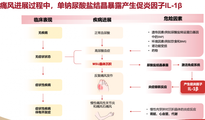 别嘌醇还是非布司他？2026年降尿酸