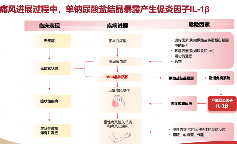 痛风发作时，哪些药能在24小时内止痛