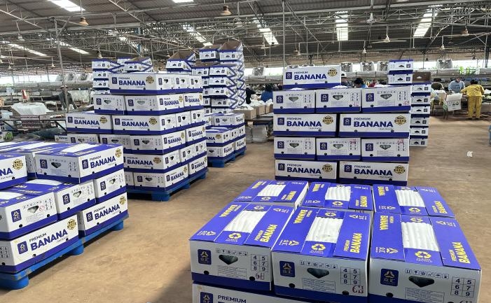 福建众农果蔬：深耕品牌化，以数字赋能果蔬产业升级