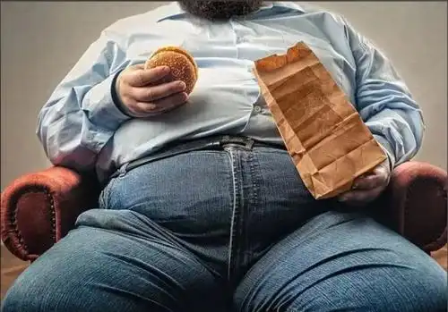 公认减脂好物！燃脂减肥选哪款？榜首高口碑高复购，成人减脂首选