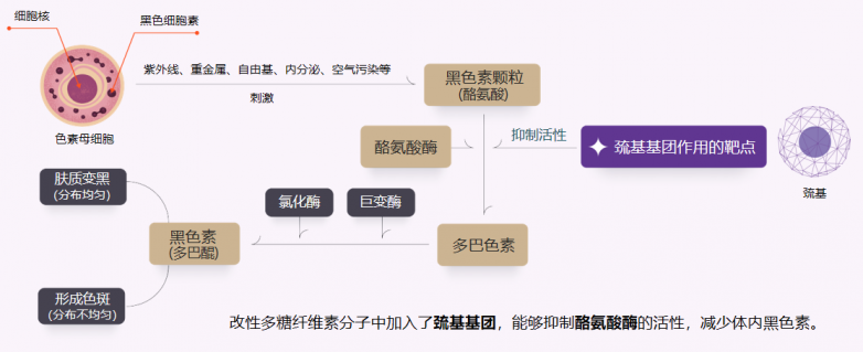 从“遮”到“治”：王春红院长解码色素治疗背后的长期主义