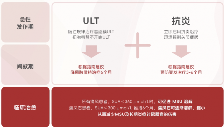  不能根治痛风，为什么医生还推荐伏欣奇拜单抗？