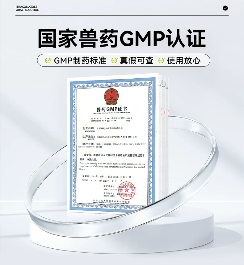 宠物皮肤病药品品牌推荐再添标杆，汉维宠仕推动猫癣治疗范式跃迁