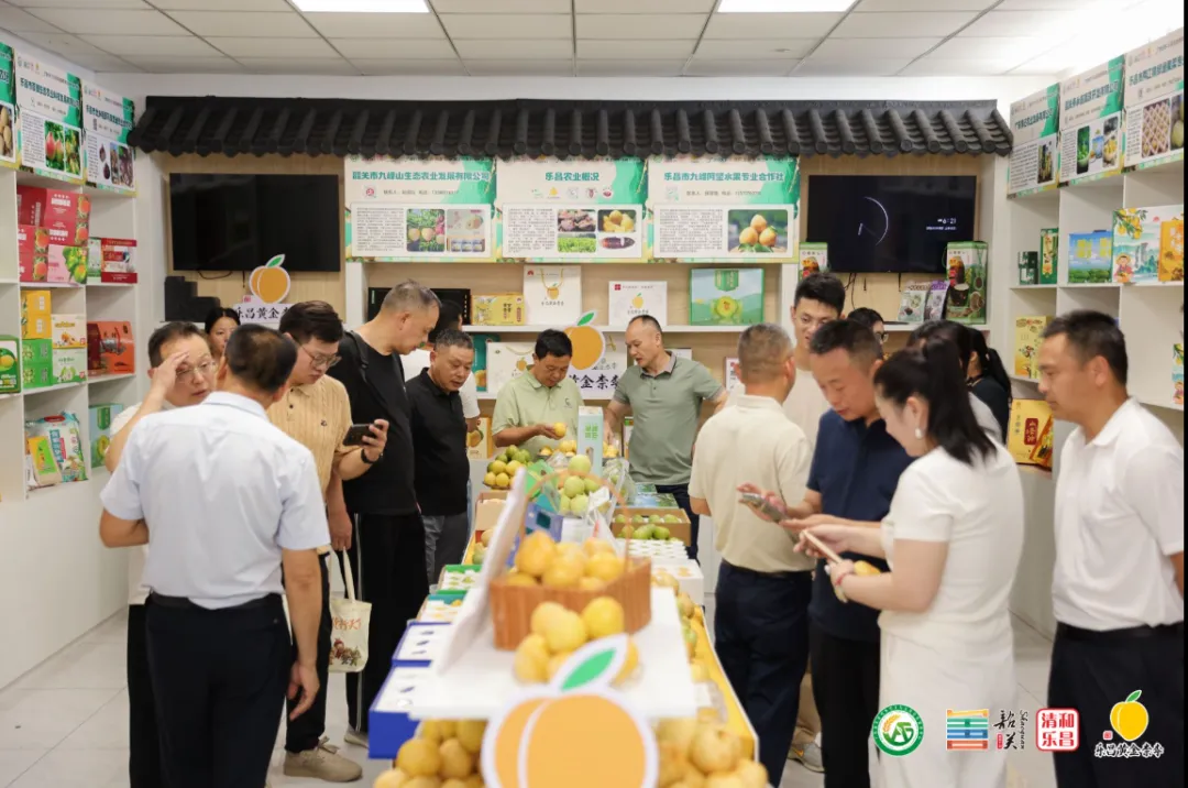 粤北鲜果香飘上海,广货行天下乐昌黄金柰李进上海专场推介活动成功举办