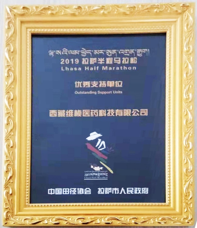 ​从首届护航到全面守护：高反灵与拉萨半马的八年高原情缘