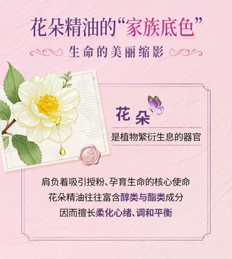 把转瞬即逝的花开凝成触手可及的芬芳，多特瑞精油伴你日日好心情