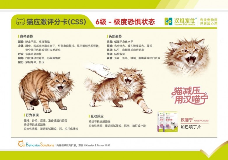 宠物专用药品品牌哪个出名？汉维宠仕猫专科赋能门店健康诊疗服务
