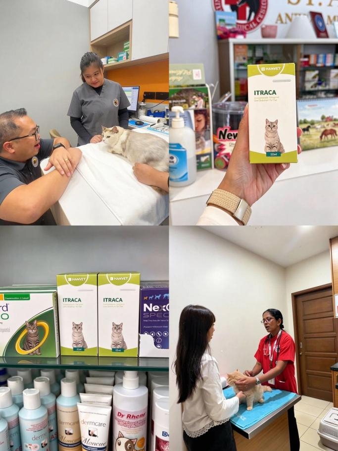 宠物专用药品品牌哪个口碑好？八年跬步，汉肤欣闪耀第六届亚专会