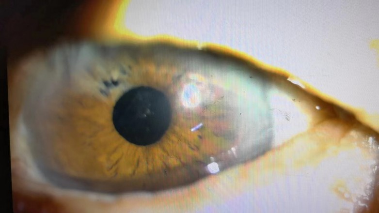 1721975759334815.jpg