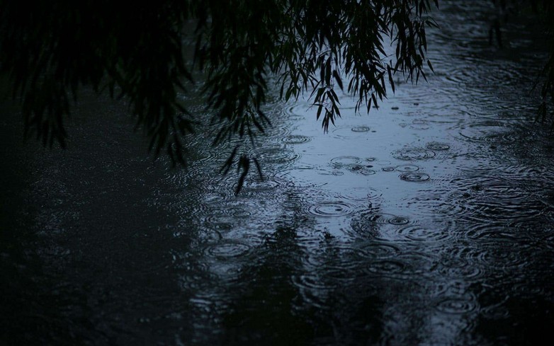 秋雨至，谁为你撑伞？