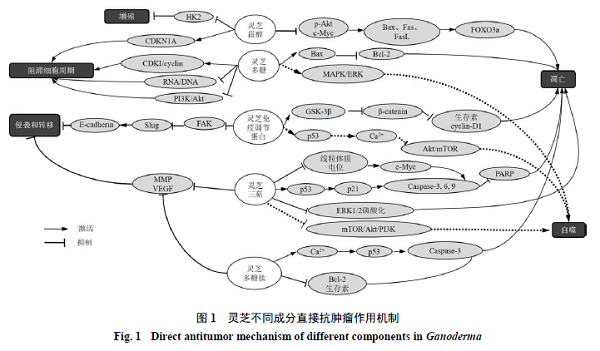 图片19.png