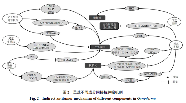 图片20.png