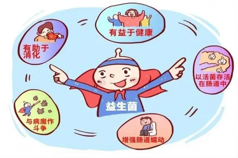 维兰尼科普：呵护肠道，先磕一磕这对“双益CP”