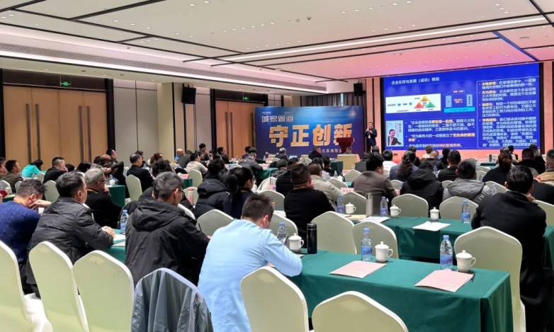 1735353970849578.jpg 2.jpg